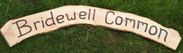 Bridewell Common