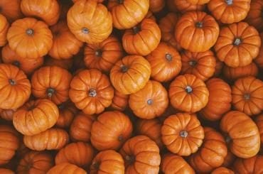 Mini Pumpkin Decorating