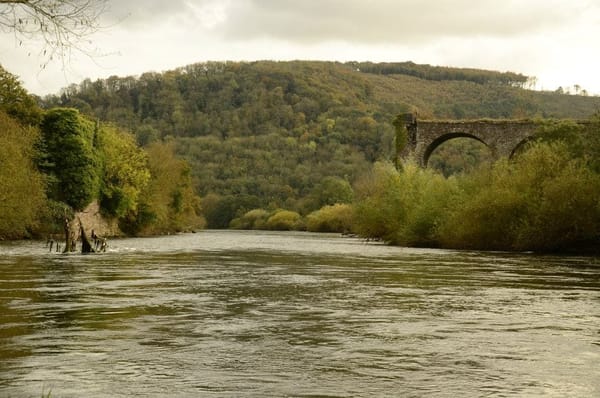 The Viaduct