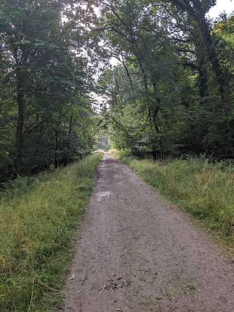 Monmouth to Symonds Yat walk
