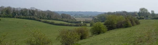 Brockwells Meadows