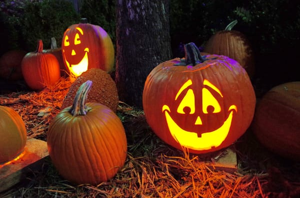Lower farm house pumpkin patch