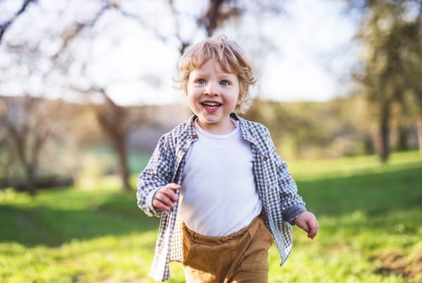 Raglan Farm Park